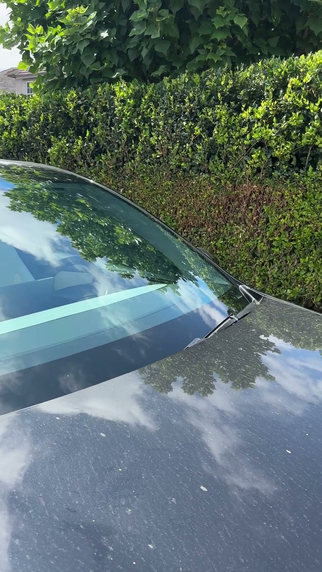 Tesla Model Y front two windows after California-legal 70 percent ceramic IR window tint