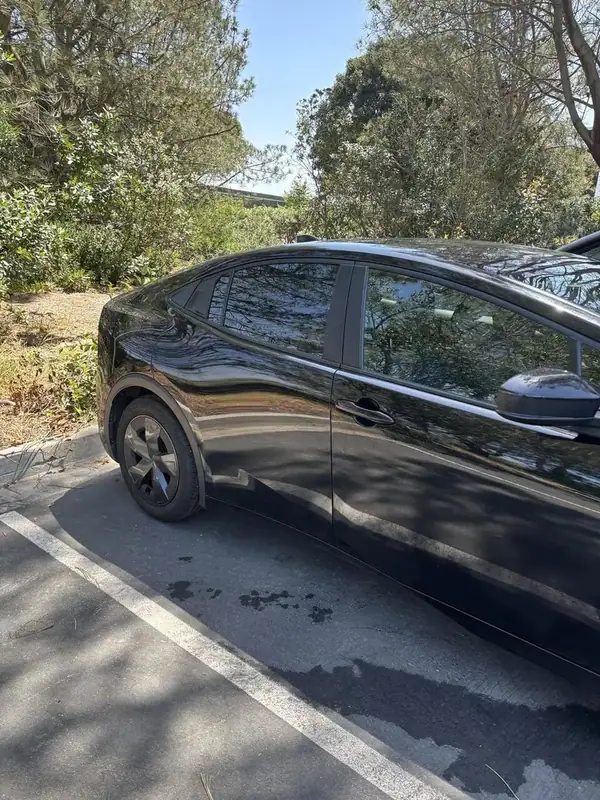 Toyota Prius rear door and quarter glass close-up showing dark ceramic window tint — mobile window tinting San Diego